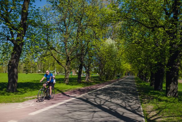 Rowerzysta na ścieżce rowerowej w parku