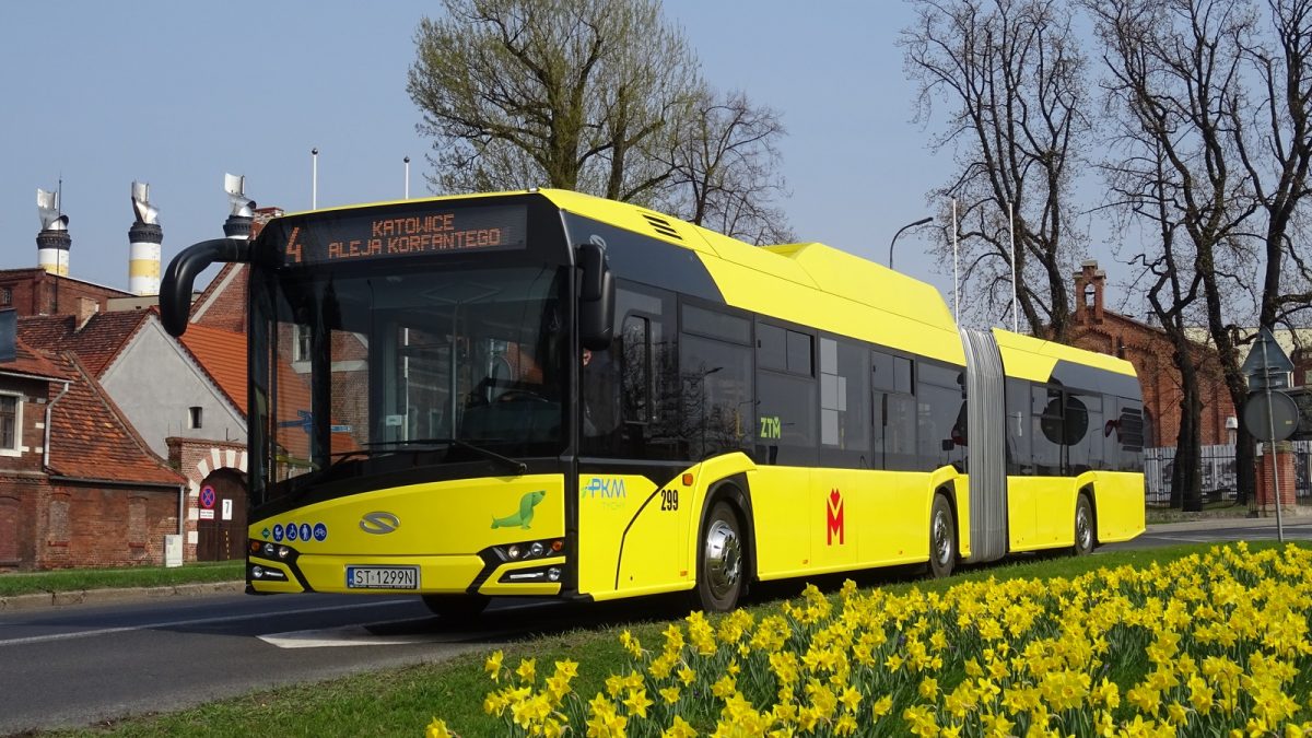 Żółty autobus w trasie, na pierwszym planie kwietnik z żółtymi kwiatami