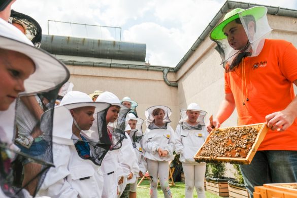 Dzieci ubrane w stroje pszczelarzy oglądające plastry miodu z pasieki, które prezentuje pan również ubrany w strój pszczelarza