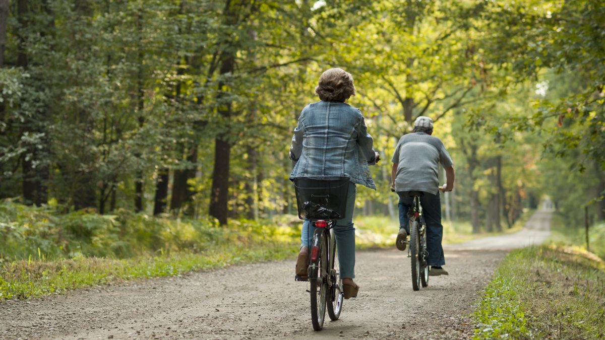 Dwóch rowerzystow seniorów jedzie przez las