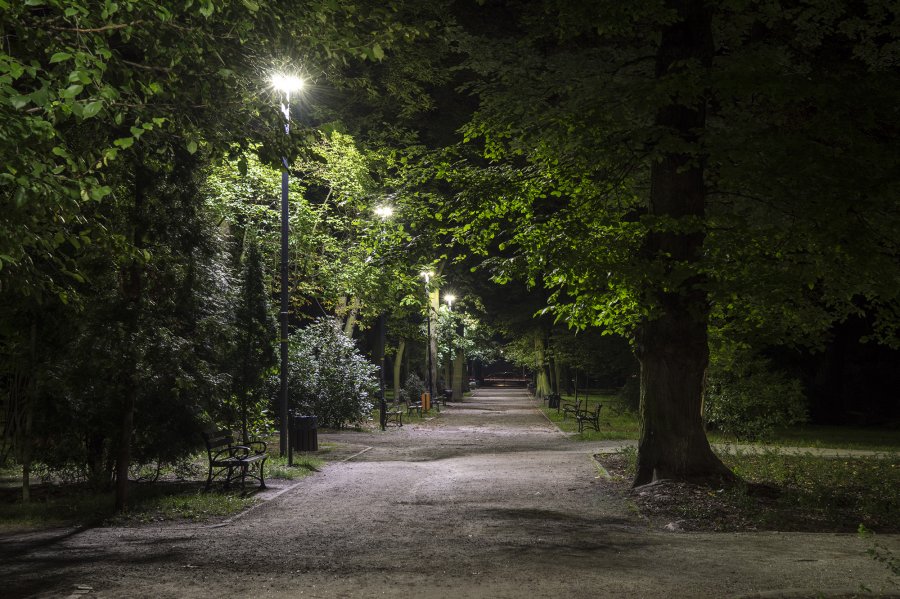 Alejka w parku oświetlona latarniami miejskimi