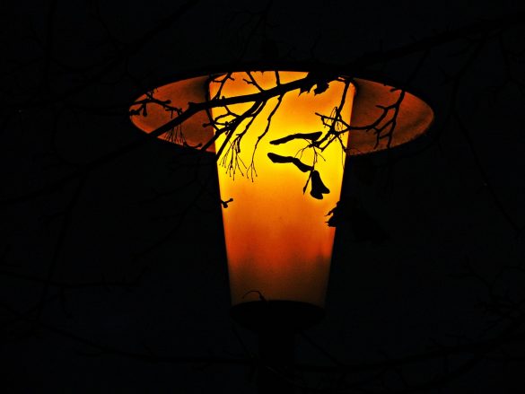 Lampa uliczna w nocy
