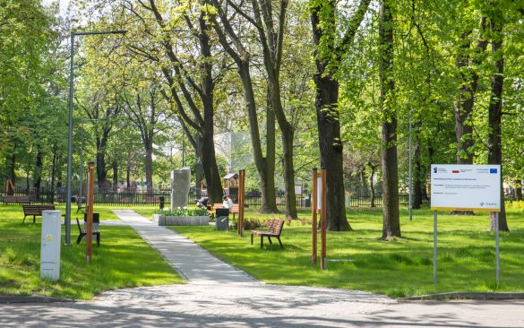 Park w Katowicach