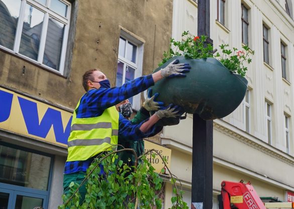 mężczyzna wieszający kwietnik