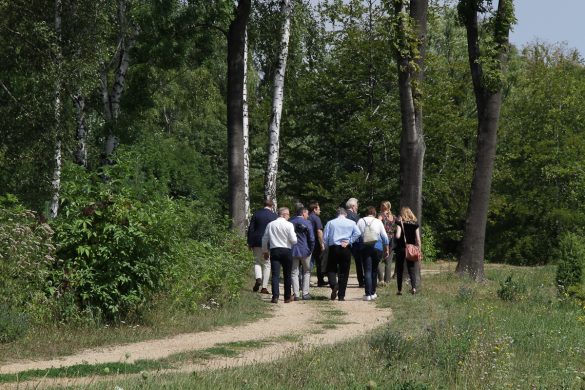 Grupa osób przechadzających się po Ogrodzie Botanicznym