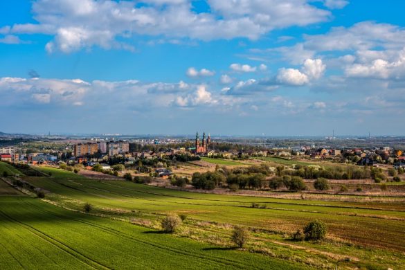 Panorama miasta