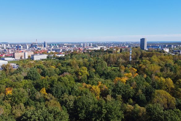 Panorama Katoic. Widok z drona na Park Kościuszki