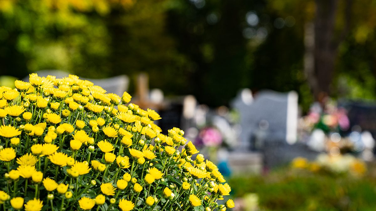 Kwiaty na grobach