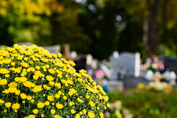 Kwiaty na grobach