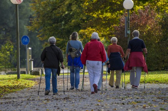 Spacer nordic walking