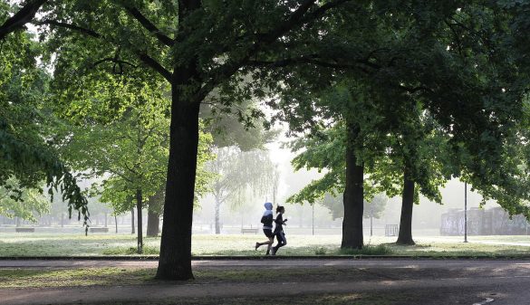 Biegacze w parku