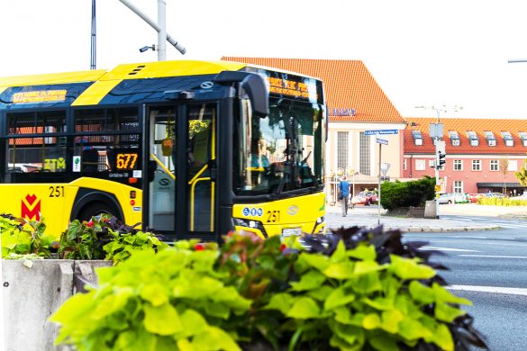 Autobus
