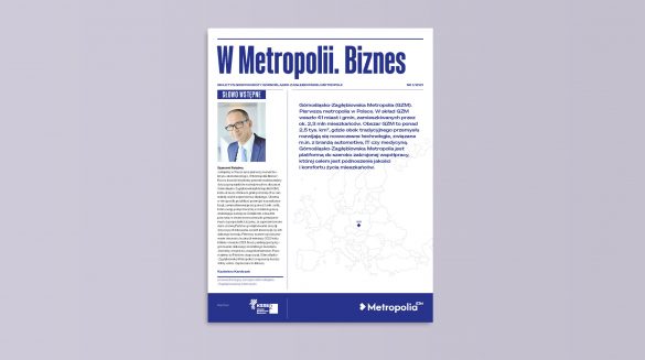 W Metropolii - biznes (okładka)