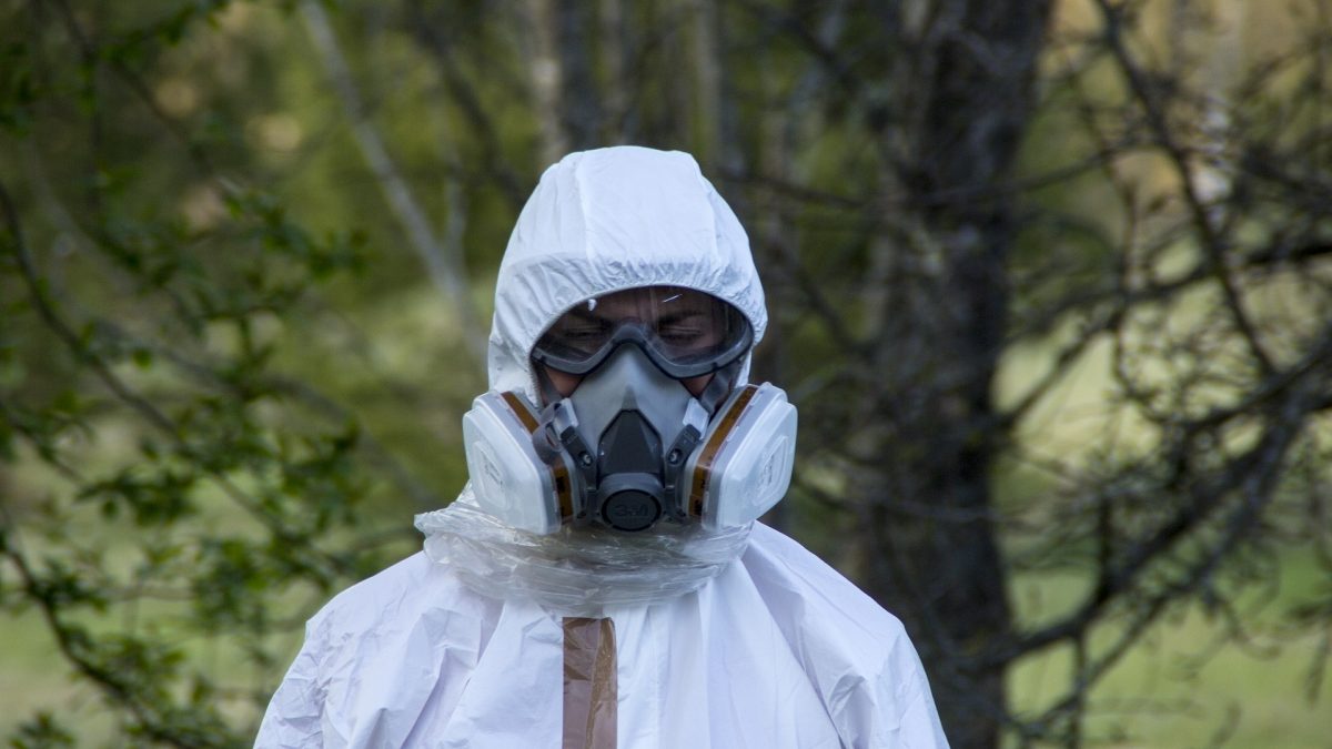 Pracownik w stroju ochronnym do usuwania azbestu