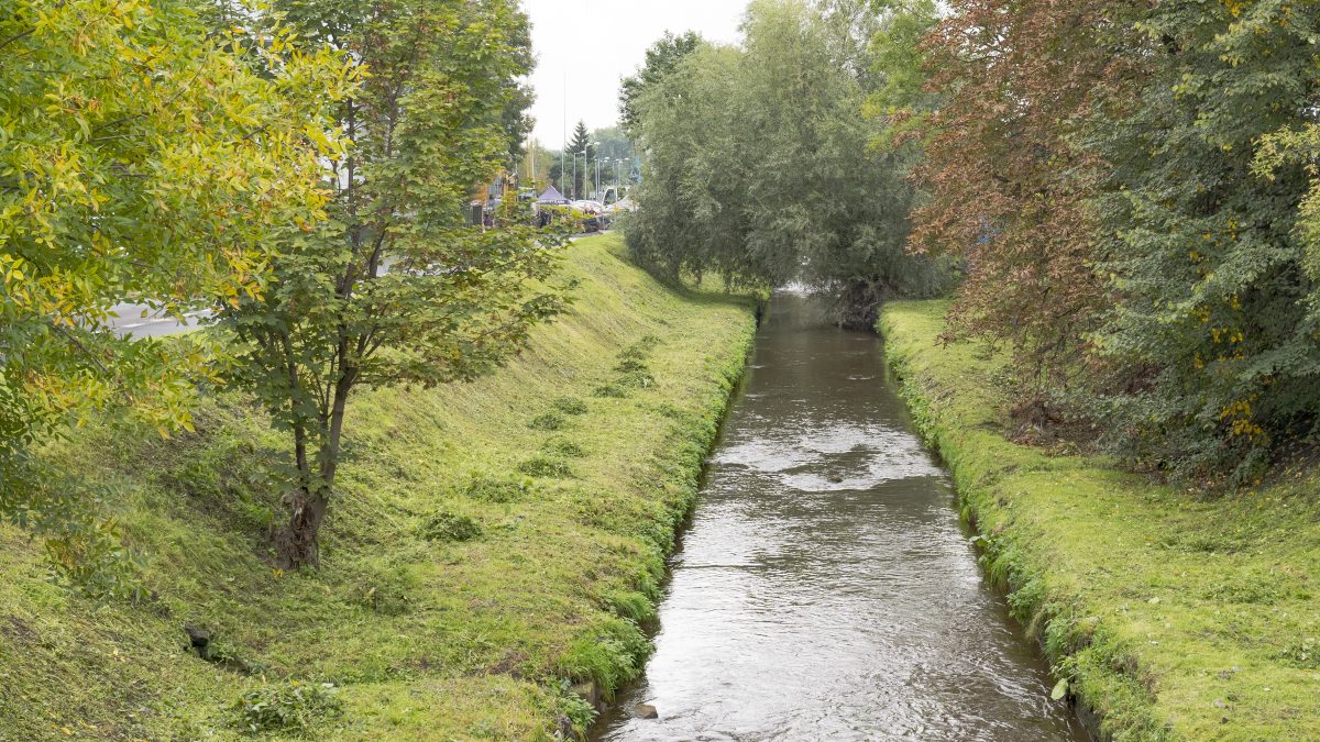 Porośnięte trawą korytu rzeki Rawy w Katowicach, na wysokości Uniwersytetu Śląskiego