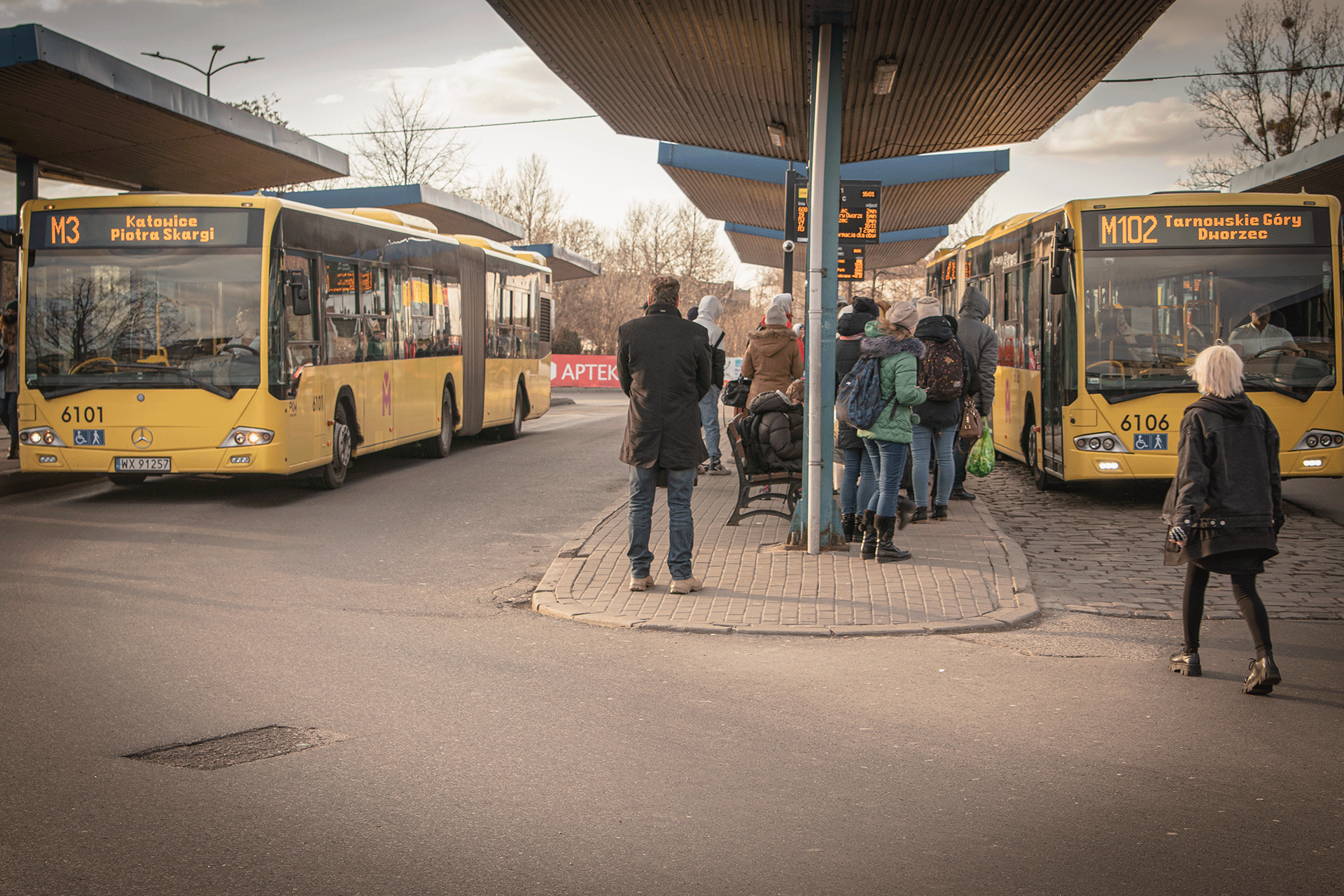 Autobusy metrolinii na dworcu w Bytomiu