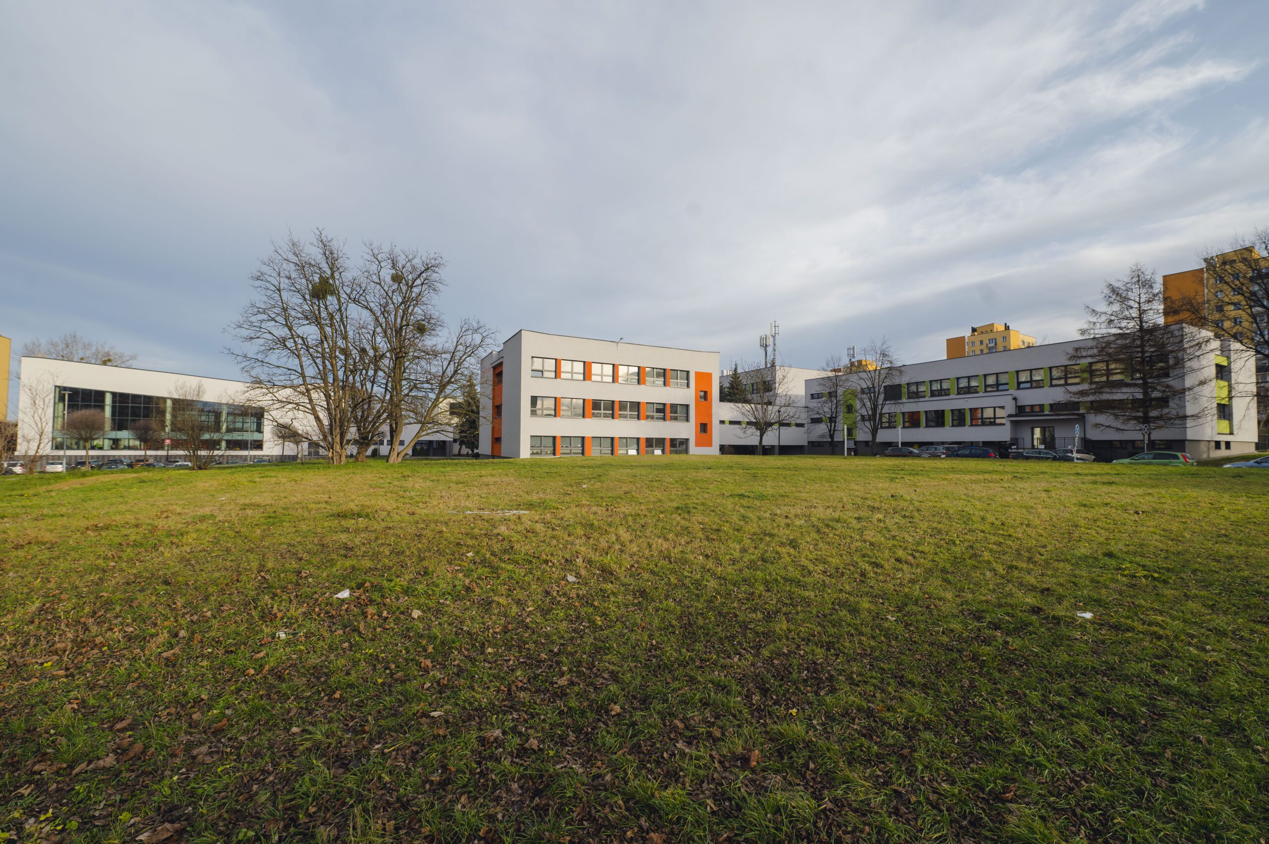 Foto: UM Siemianowice Śląskie