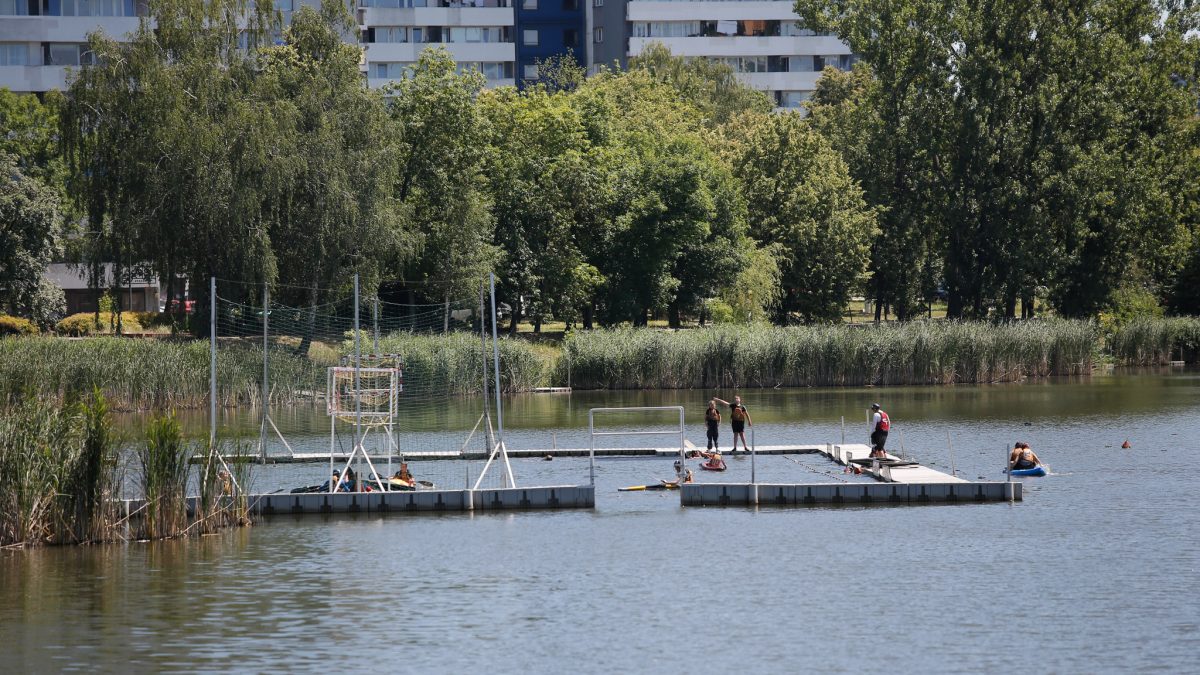 Na Stawie Maroko w Katowicach widać boisko do kajak polo, utworzone w 2018 roku. Obok niego znajduje się pływający pomost. Wokół stawu rosną wysokie trzciny i liczne drzewa, a w tle widać budynki mieszkalne. Kilka osób przebywa na pomoście i w wodzie, co sugeruje letni dzień.