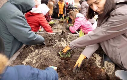 Grupa dzieci i dorosłych w zimowych ubraniach sadzi rośliny w długiej drewnianej skrzyni z ziemią. Wspólna praca w ogrodzie na świeżym powietrzu.